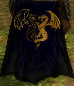 File:Guild Warband Of Legendary Knights cape.jpg