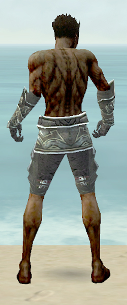 File:Necromancer Fanatic armor m gray back arms legs.jpg