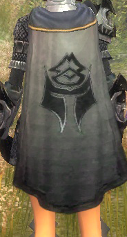 File:Guild Order of the Republic cape.png