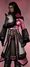 File:Screenshot Ranger Norn armor f dyed Pink.jpg