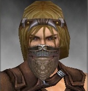 File:Ranger Asuran Mask m.jpg