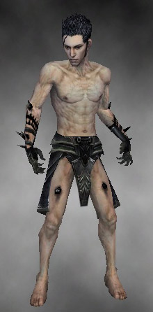 File:Necromancer Obsidian armor m gray front arms legs.jpg