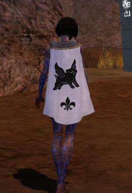 File:Guild The Rising Knights cape.jpg
