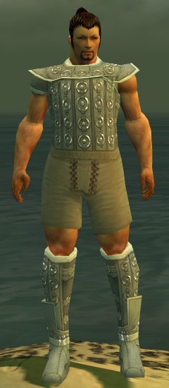 File:Warrior Ascalon armor m gray front chest feet.jpg