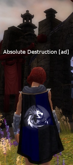 File:Guild Absolute Destruction cape.jpg