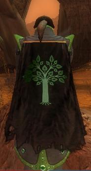 File:Guild Clan Of Eve cape.jpg