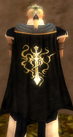Guild Order of Valor Revisited cape.jpg