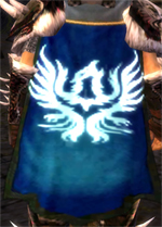 File:Guild Seekers Of Fun And Glory cape.jpg