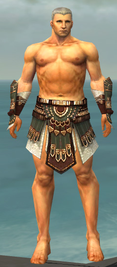 File:Warrior Vabbian armor m gray front arms legs.jpg