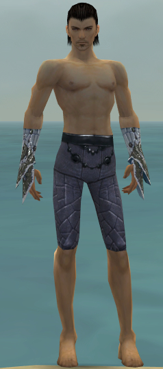 File:Elementalist Elite Iceforged armor m gray front arms legs.jpg