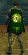 File:Guild The Forgotten Warriors Ftw cape.jpg