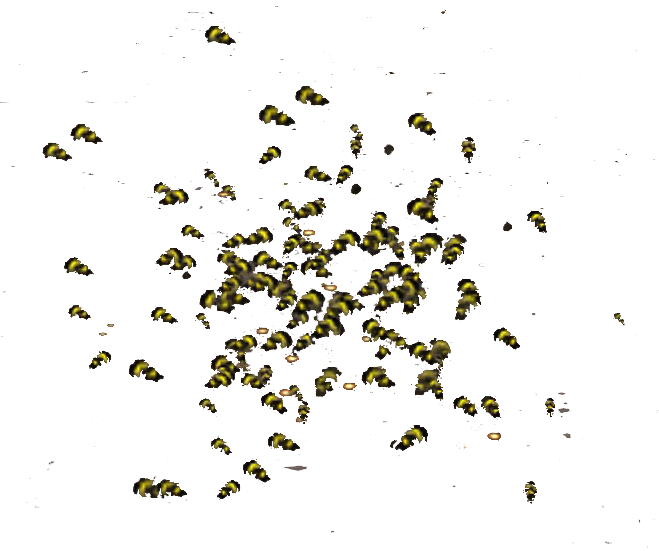 File:Swarm of Bees.png