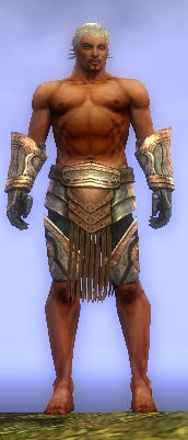 File:Warrior Elite Sunspear armor m gray front arms legs.jpg