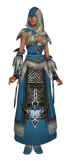 File:Dervish Norn armor f dyed front.png
