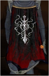 File:Guild Knights Of The Neworder cape.jpg
