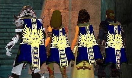 File:Guild Fellowship Of The Realm cape.jpg