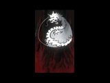 File:Guild Revenge Of The Silver Dragons cape.jpg