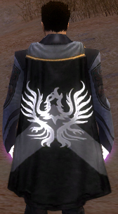 File:Guild The Knights Of Torment cape.jpg