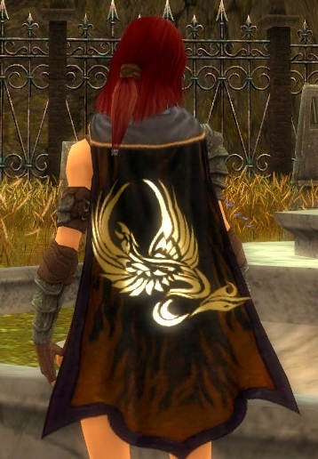 File:Guild Tyrians In Disguise cape.jpg