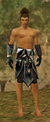 File:Ritualist Kurzick armor m gray front arms legs.jpg
