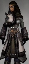 File:Screenshot Ranger Norn armor f dyed Grey.jpg