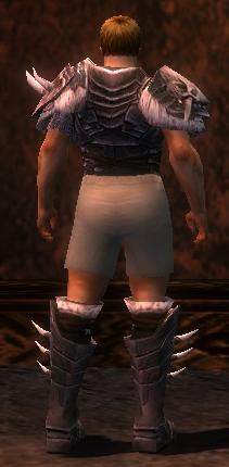 File:Warrior Norn armor m gray back chest feet.jpg