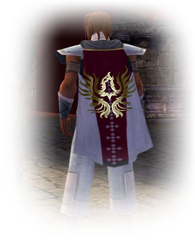 File:Guild Order Of Celestial Guardians cape.jpg