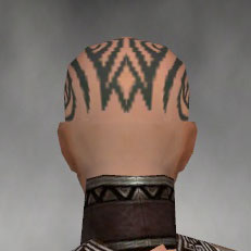 File:Monk Asuran armor f gray back head.jpg