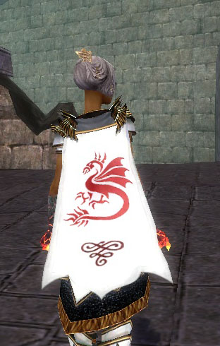 File:Guild The Dragon Rebirth cape.jpg