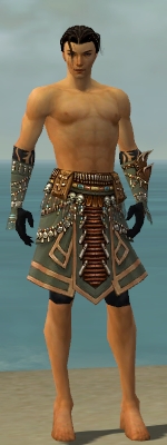 Ritualist Elite Imperial armor m gray front arms legs.jpg