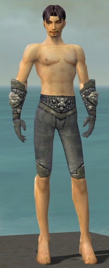 File:Elementalist Stoneforged armor m gray front arms legs.jpg