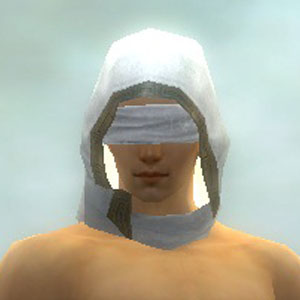 File:Augur of Kormir costume m white front head.jpg