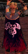 File:Guild Fearless Heroes cape.png