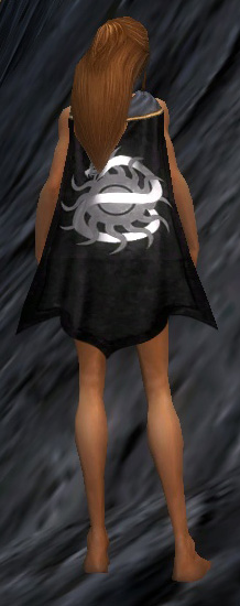 File:Guild Ninjas Are Totally Sweet cape.jpg