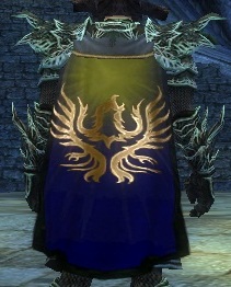 File:Guild Forgotten Knights Of The Shadow cape.jpg