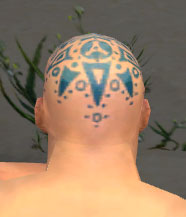 File:Monk Star armor m gray back head.jpg
