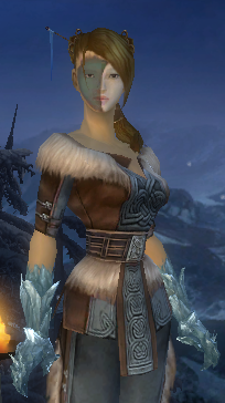File:User Exalted Amethyst Exalted A norn Armour.png