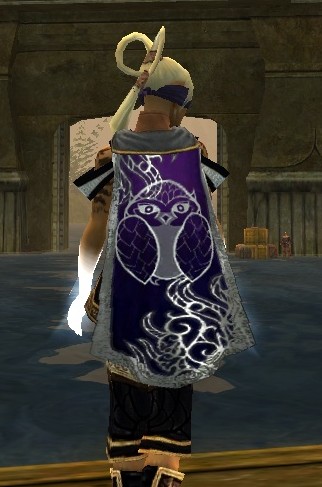 File:Guild Let Me Write It Down In My Care cape.jpg
