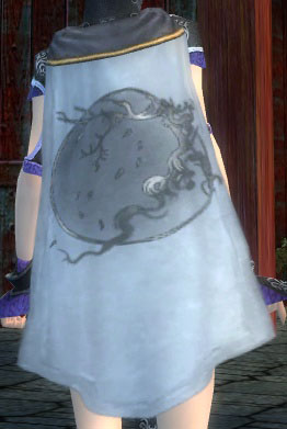 File:Guild Voices In The Wind cape.jpg