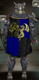 Guild Clan Irmao Sephirot cape.jpg