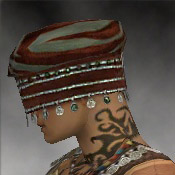 File:Ritualist Exotic armor m gray left head.jpg