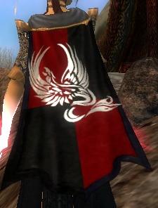 File:Guild Alliance Of Royal Knights cape.jpg