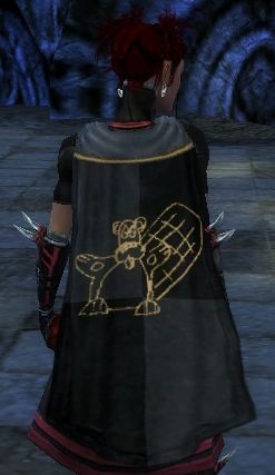 File:Guild Boy Toy Rodeo cape.jpg