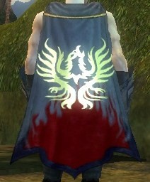 File:Guild Brothers Of The Mystic Circle cape.jpg
