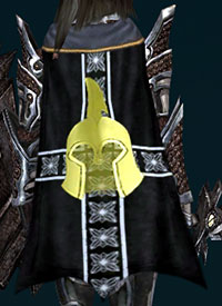 File:Guild Defender Of The Cross cape.jpg