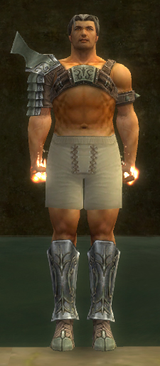 File:Warrior Elite Gladiator armor m gray front chest feet.jpg