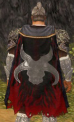 Guild Diablo Legion cape.jpg