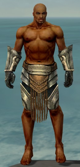 File:Warrior Sunspear armor m gray front arms legs.jpg