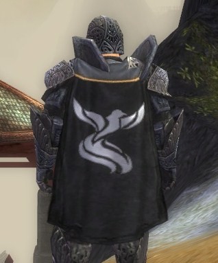 File:Guild Masters Of Serenity cape.jpg
