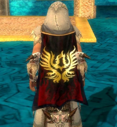 File:Guild Soldiers With Amazing Talent cape.jpg